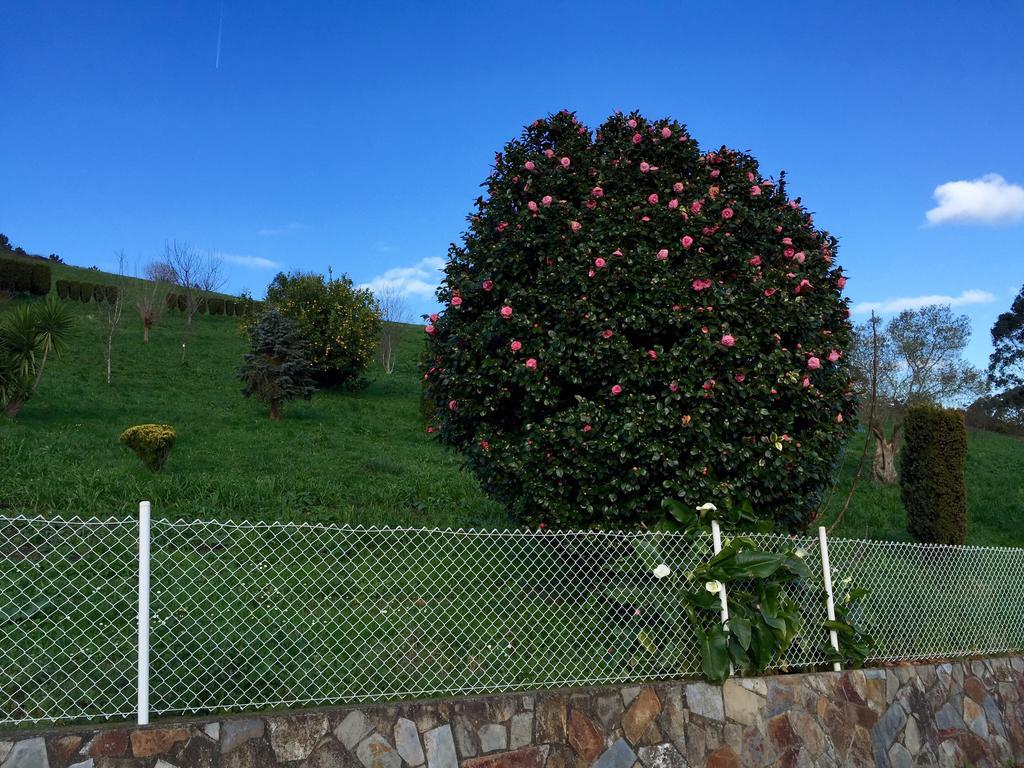 Apartamentos Rurales Casa Ron Coana Luaran gambar